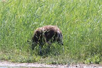 IMG_1958 null