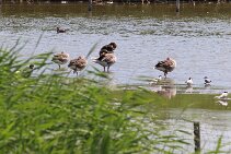 IMG_1970 null
