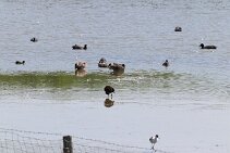 IMG_1972 null