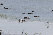 IMG_1973 null