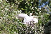 IMG_1547 null