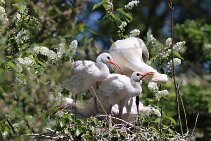 IMG_1583 null