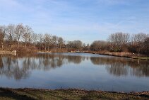 Wilhelminapark_2 null