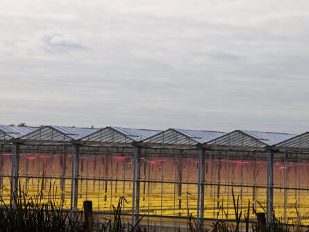 Van alles en nog wat